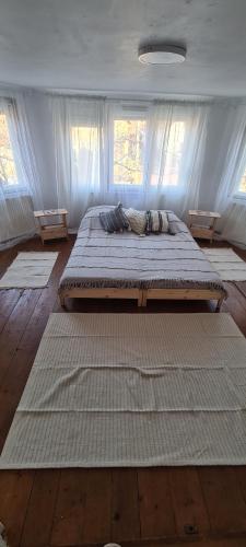 two large beds in a room with windows at Petit Castel in Bran