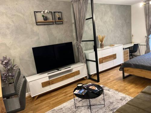 een woonkamer met een flatscreen-tv bij Oáza klidu přímo v centru Prahy in Praag