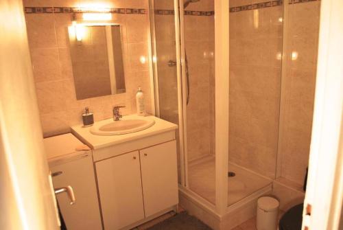 La salle de bains est pourvue d'une douche et d'un lavabo. dans l'établissement L'appartement du Parc, à Lyon