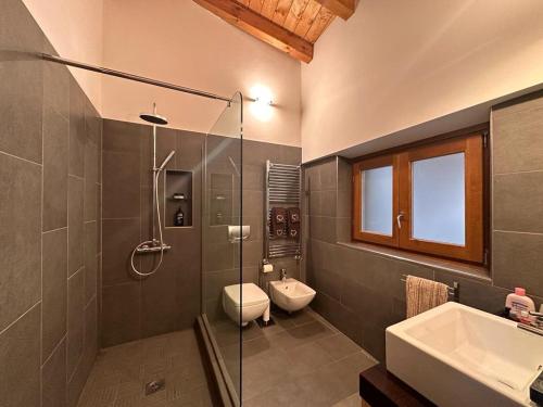 a bathroom with a shower and a toilet and a sink at Nido Mountain Apartment in Castione della Presolana