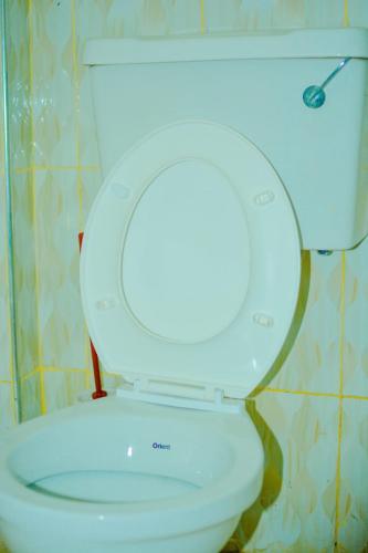 a white toilet with the lid up in a bathroom at DANA HOMES in Nairobi