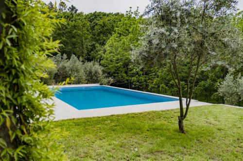a swimming pool in a garden with a tree at Quinta das Fontes - Alojamento Rústico Local e Turismo Rural in São Pedro do Sul
