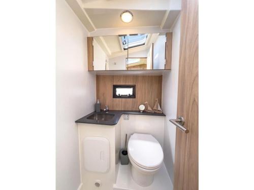 a small bathroom with a toilet and a sink at Motoryacht-Futura-Urlaub-im-Yachthafen in Burgtiefe auf Fehmarn 