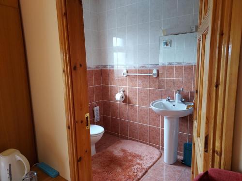 a bathroom with a sink and a toilet at Tullaleagan Guesthouse in Oughterard