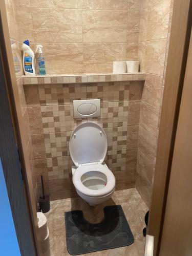 bagno con servizi igienici bianchi in camera di Apartmán Pohoda a Břeclav
