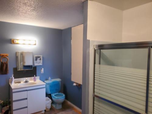 La salle de bains est pourvue de toilettes, d'un lavabo et d'une douche. dans l'établissement Le1226 Apartment, à Edmundston