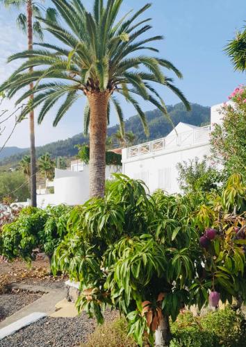 Foto Rural Jardines la Quinta 6