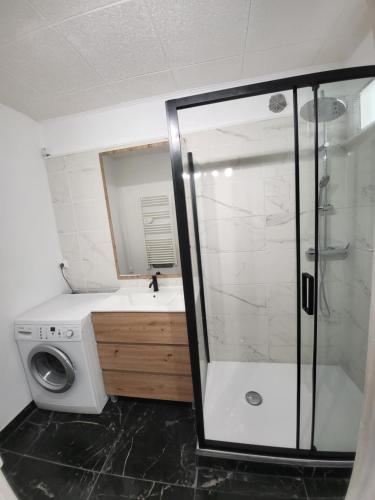 a bathroom with a shower and a washing machine at Les écuries du chateau - 5 minutes Circuit des 24 H du MANS - 7 Personnes in Moncé-en-Belin