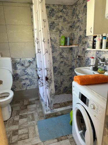 a bathroom with a toilet and a sink and a washing machine at Apartman Jaca 