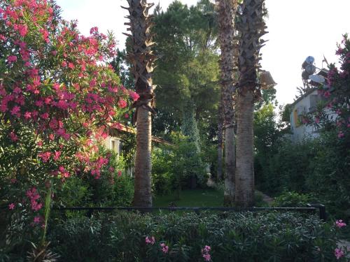 a garden with palm trees and pink flowers at Hotel Happy Caretta in Dalyan