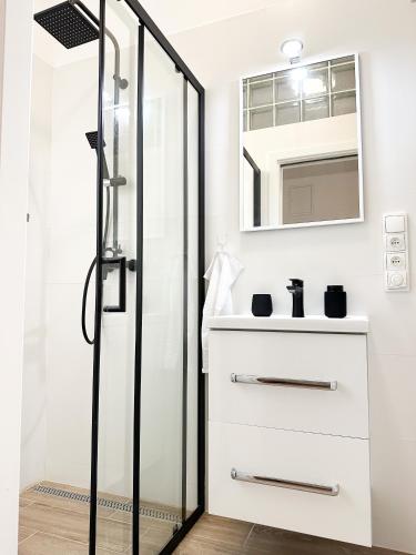een badkamer met een wastafel en een douche bij Jen tak spolu - apartmán Znojmo in Znojmo