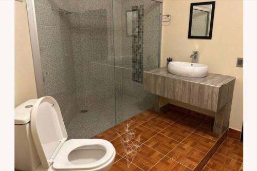 een badkamer met een douche, een toilet en een wastafel bij Viñedos y Peña - La Gladiola in Ezequiel Montes