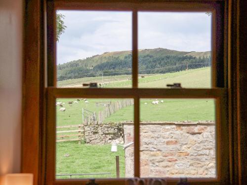 a window looking out at a field of sheep at Bay Horse Farm in Skipton