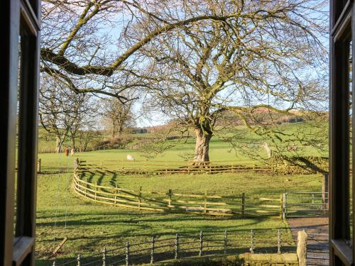 a view of a field with a tree and a fence at Bay Horse Farm in Skipton