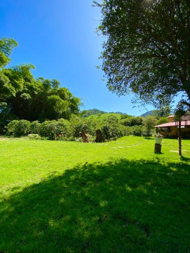a green field with a tree and a building at Chácara da Tuia in Estancia do Castello