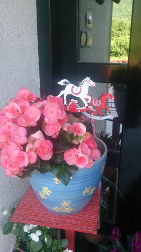 a blue bowl of pink flowers on a red table at Apartments Kamenecki in Krapina