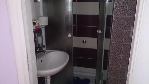 a small bathroom with a sink and a shower at Apartments Kamenecki in Krapina