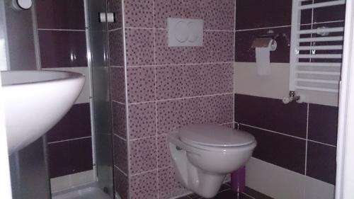a bathroom with a toilet and a sink at Apartments Kamenecki in Krapina