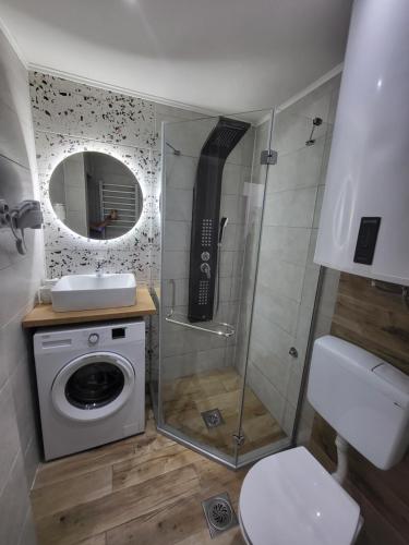 uma casa de banho com um chuveiro e uma máquina de lavar roupa em Felix apartman Zajecar em Zaječar