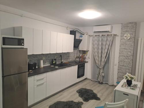 Η κουζίνα ή μικρή κουζίνα στο Apartament Bio