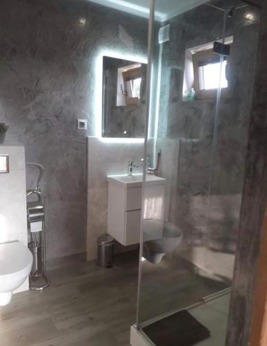 a bathroom with a shower and a sink and a toilet at Rajskie wzgórze w Karkonoszach in Łomnica