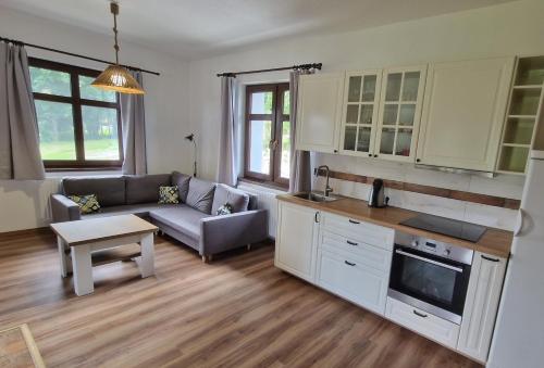 eine Küche und ein Wohnzimmer mit einem Sofa und einem Tisch in der Unterkunft Ubytování U Bohouše in Horní Radouň