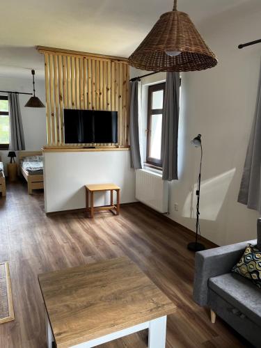 a living room with a couch and a tv at Ubytování U Bohouše in Horní Radouň