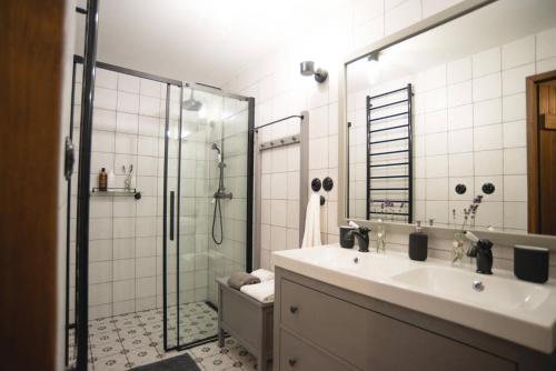 a bathroom with a sink and a shower at Selské stavení Melchior Häusler in Šonov