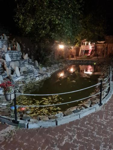 a pond at night with a fence around it at Conacul Ancuței in Brad