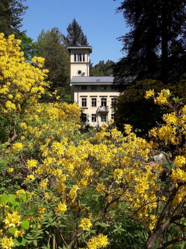 a white building in the middle of trees with yellow flowers at Rapunzel trifft Dornröschen in Schweizermühle