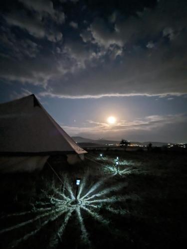 Campy Mountain Campsite – Photos 4