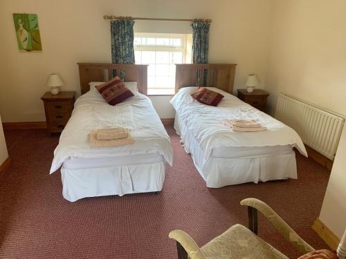 a bedroom with two beds and a window at Castlehamilton Mill Cottage in Killashandra