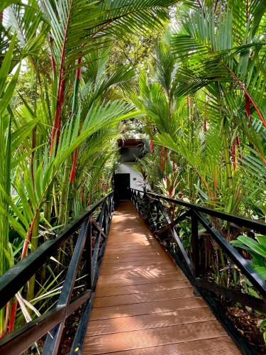 a wooden bridge with palm trees and a tunnel at Hotel Boutique Casa Del Rio in Fortuna