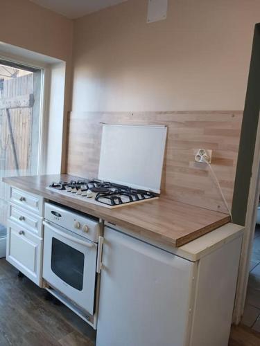 une cuisine avec une cuisinière et un comptoir dans l'établissement Ferme aux Arbres, B&B Appartement rez-de-chaussée, à Lanfroicourt