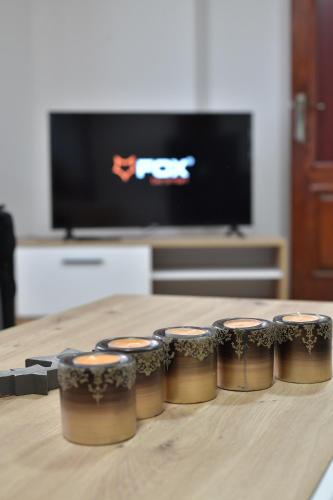 TV a/nebo společenská místnost v ubytování Apartmani Filipović