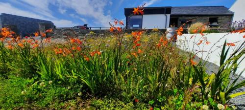 a garden with red flowers in front of a building at Rose Meadow Lodge in Liscannor