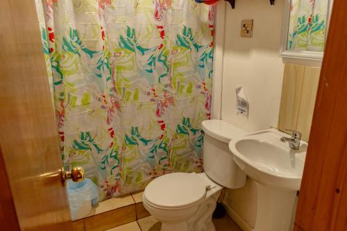 y baño con aseo y cortina de ducha. en Cabañas Hostel Aquario Papudo, en Papudo