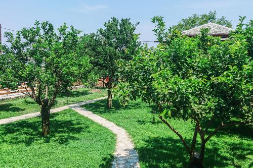Κήπος έξω από το Lemongarden by the sea