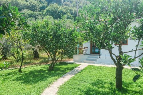 Κήπος έξω από το Lemongarden by the sea