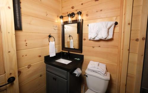 ein Badezimmer mit einem WC, einem Waschbecken und einem Spiegel in der Unterkunft Quittin Time in Gatlinburg