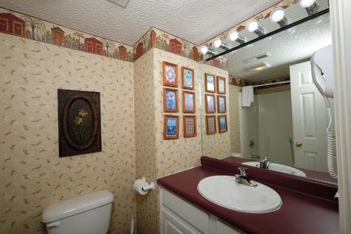 a bathroom with a sink and a toilet and a mirror at Bear Hugs in Gatlinburg