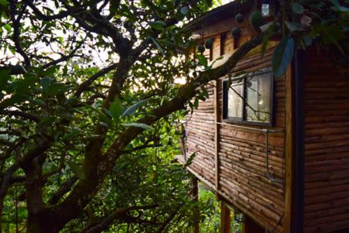 a log cabin with a window in a tree at Glamping con jacuzzi cerca a Medellin in Guarne