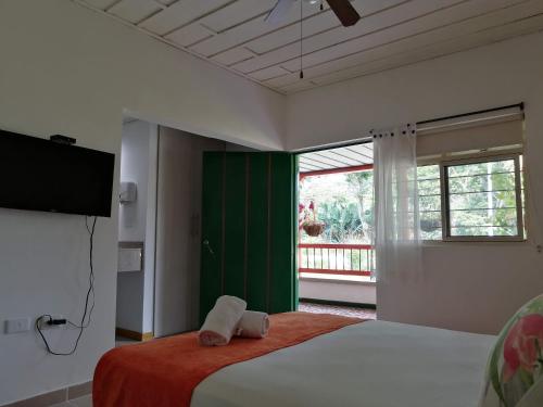 1 dormitorio con 1 cama, TV y ventana en Hotel campestre La Floresta, en Armenia