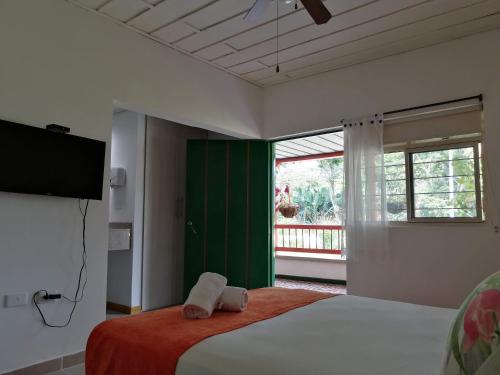 a bedroom with a bed and a television and a window at Hotel campestre La Floresta in Armenia