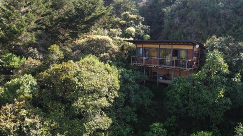 a tree house in the middle of a forest at Glamping con jacuzzi cerca a Medellin in Guarne