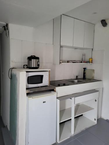 uma pequena cozinha branca com um micro-ondas e um lavatório em Hamidani jkkld em Aureilhan