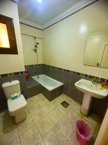 a bathroom with a toilet and a tub and a sink at Clara Apartment in Alexandria