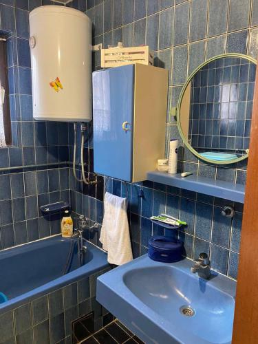 比耶利納的住宿－Privatna kuća，蓝色的浴室设有水槽和镜子