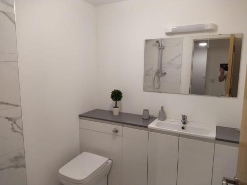 uma casa de banho com um WC, um lavatório e um espelho. em Spacious Two bedroom City apartment Longs Place, Dublin 8 em Dublin