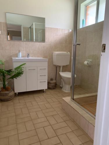 a bathroom with a toilet and a sink and a shower at Rio Rita Ocean View Apartments in Batemans Bay